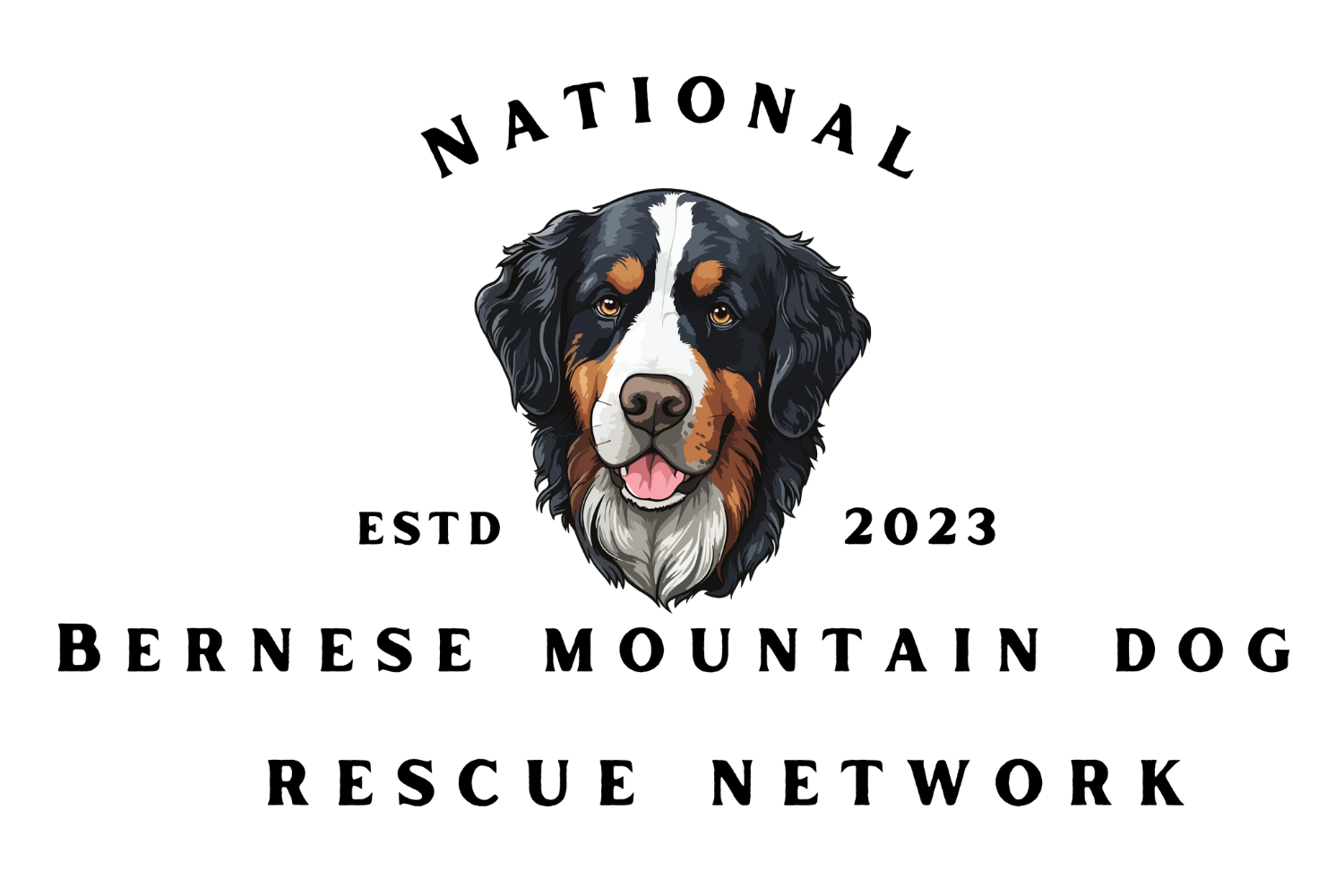 National BMD Rescue Network logo