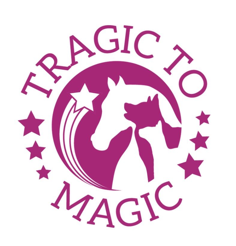 Tragic to Magic logo